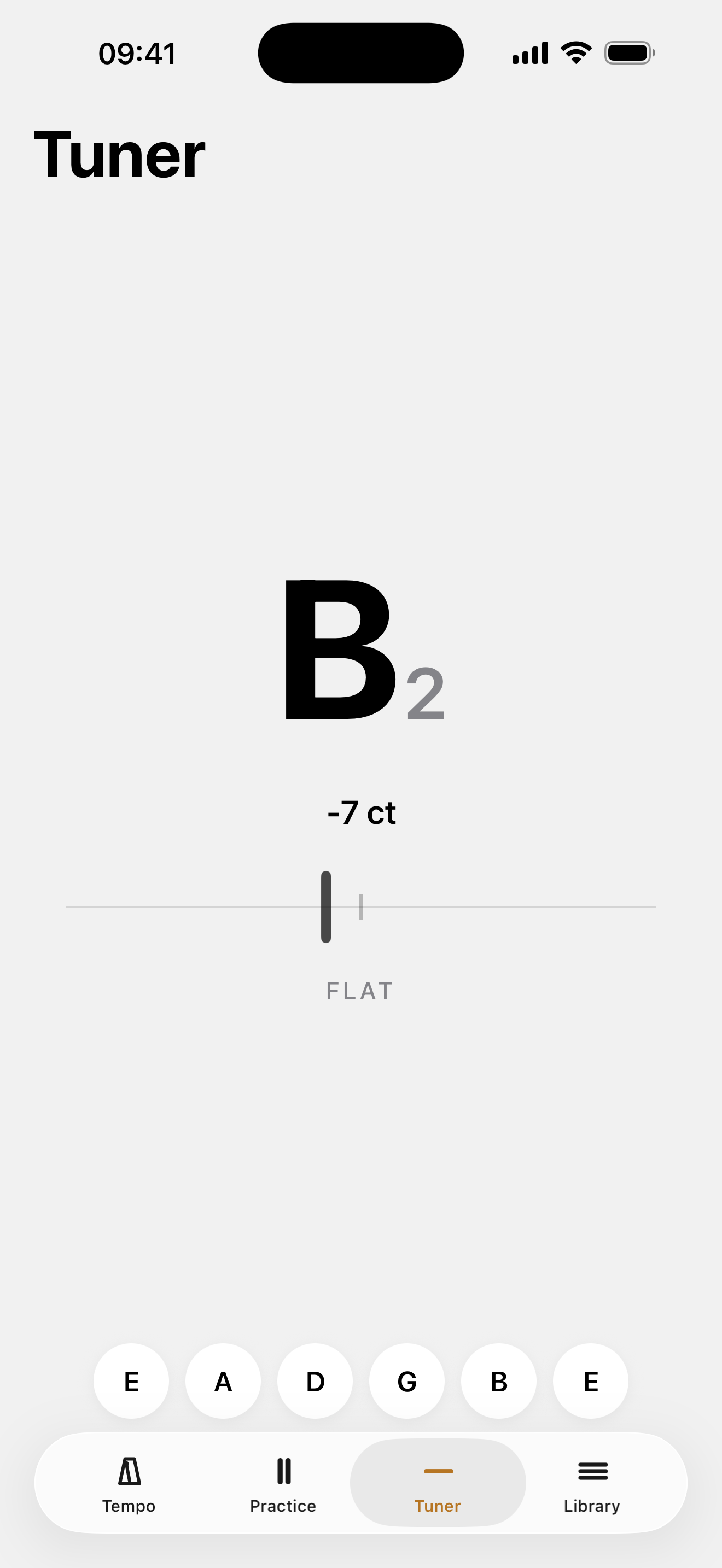Steady Tuner screen